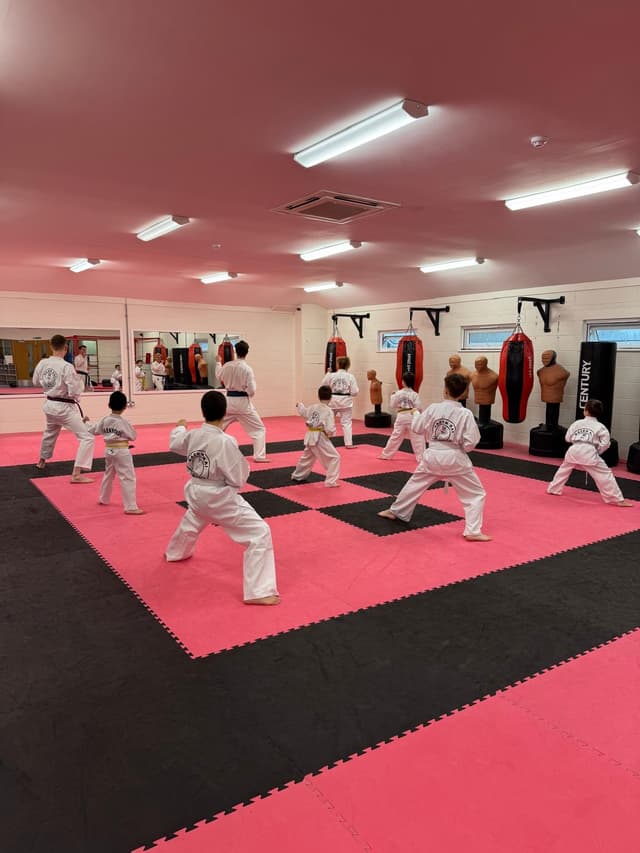 Taekwondo class